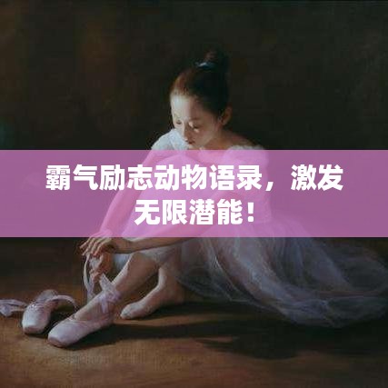 霸气励志动物语录，激发无限潜能！
