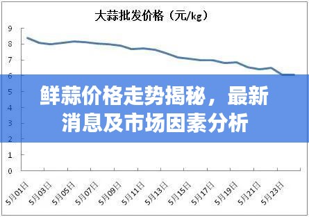 鲜蒜价格走势揭秘，最新消息及市场因素分析