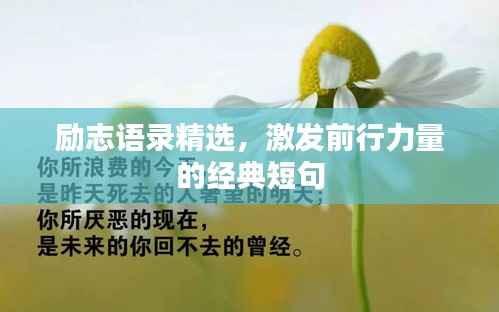 励志语录精选，激发前行力量的经典短句