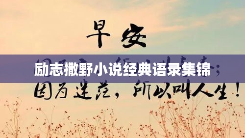 励志撒野小说经典语录集锦