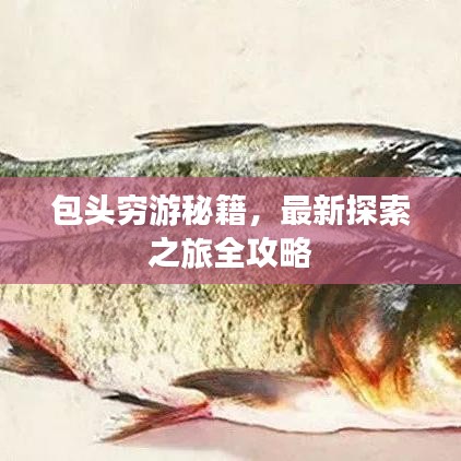 包头穷游秘籍，最新探索之旅全攻略