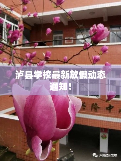 林下风气 第2页