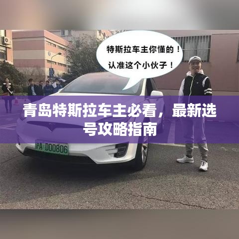 青岛特斯拉车主必看，最新选号攻略指南