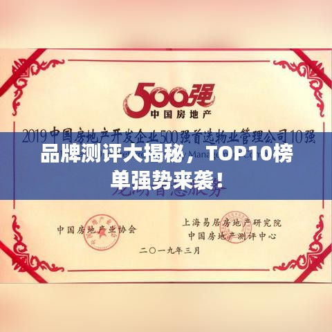 品牌测评大揭秘，TOP10榜单强势来袭！