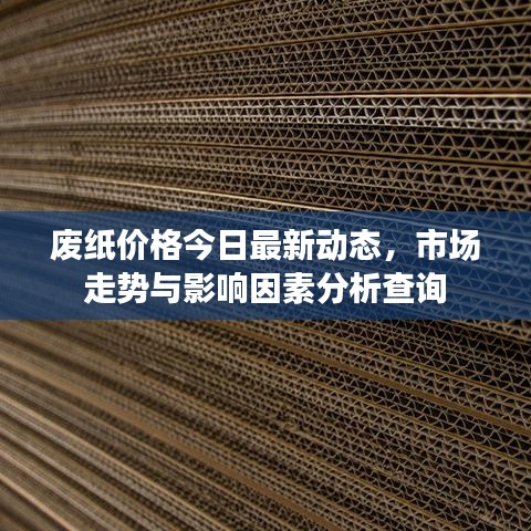 废纸价格今日最新动态，市场走势与影响因素分析查询