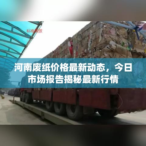河南废纸价格最新动态，今日市场报告揭秘最新行情