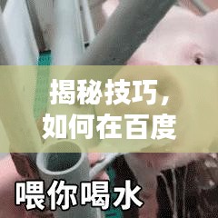 揭秘技巧，如何在百度轻松进行图片搜索！