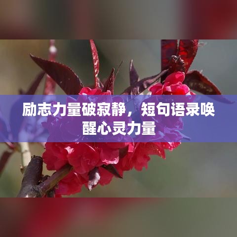 励志力量破寂静，短句语录唤醒心灵力量