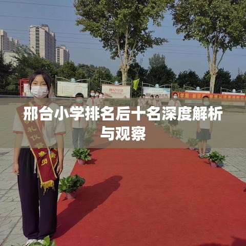 邢台小学排名后十名深度解析与观察