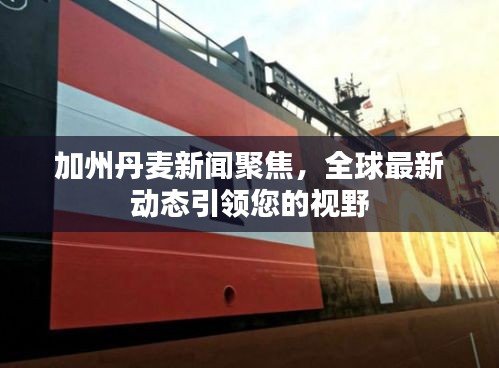 加州丹麦新闻聚焦，全球最新动态引领您的视野