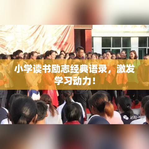 小学读书励志经典语录，激发学习动力！