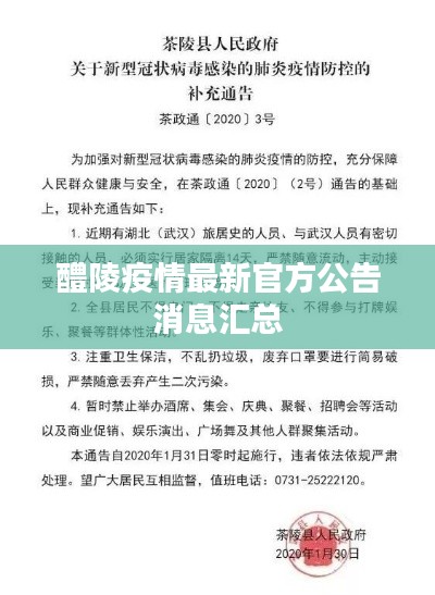 醴陵疫情最新官方公告消息汇总
