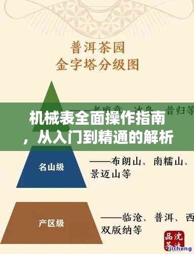机械表全面操作指南，从入门到精通的解析与用法