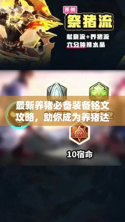 最新养猪必备装备铭文攻略，助你成为养猪达人！