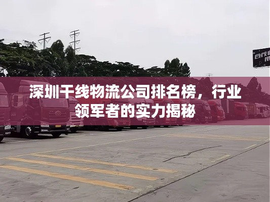 深圳干线物流公司排名榜，行业领军者的实力揭秘