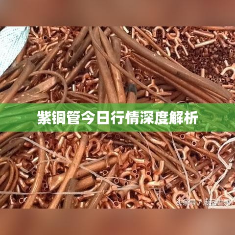 紫铜管今日行情深度解析