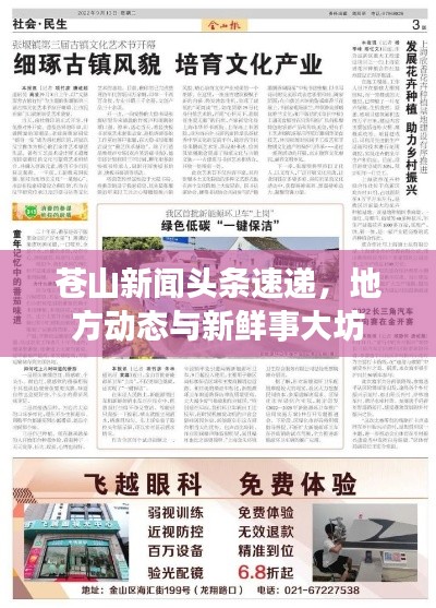 苍山新闻头条速递，地方动态与新鲜事大坊