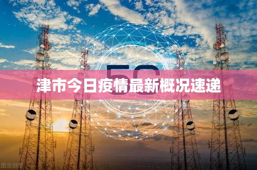 津市今日疫情最新概况速递