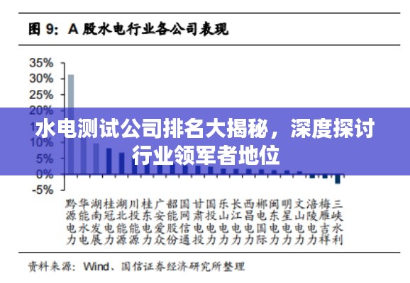 水电测试公司排名大揭秘，深度探讨行业领军者地位