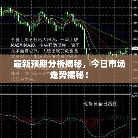 最新预期分析揭秘，今日市场走势揭秘！