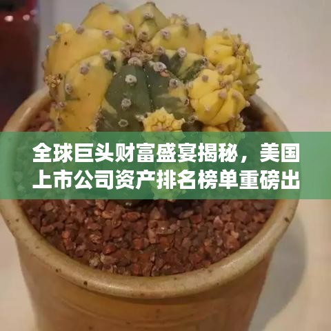 全球巨头财富盛宴揭秘，美国上市公司资产排名榜单重磅出炉！