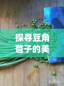 探寻豆角苞子的美味奥秘，营养佳肴解析