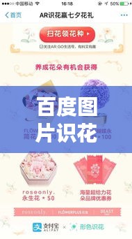 百度图片识花，一键轻松识别花卉种类