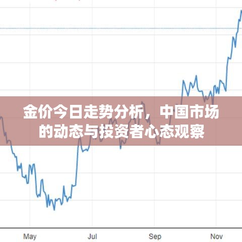 金价今日走势分析，中国市场的动态与投资者心态观察