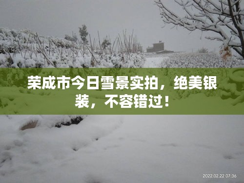 荣成市今日雪景实拍，绝美银装，不容错过！