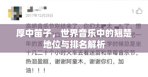 厚中笛子，世界音乐中的翘楚地位与排名解析