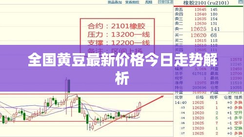 全国黄豆最新价格今日走势解析