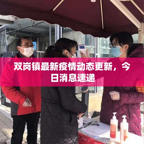 双岗镇最新疫情动态更新，今日消息速递