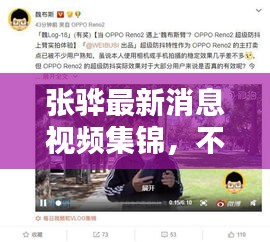 张骅最新消息视频集锦，不容错过的播放大全
