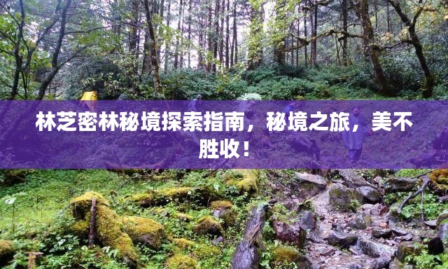 林芝密林秘境探索指南，秘境之旅，美不胜收！