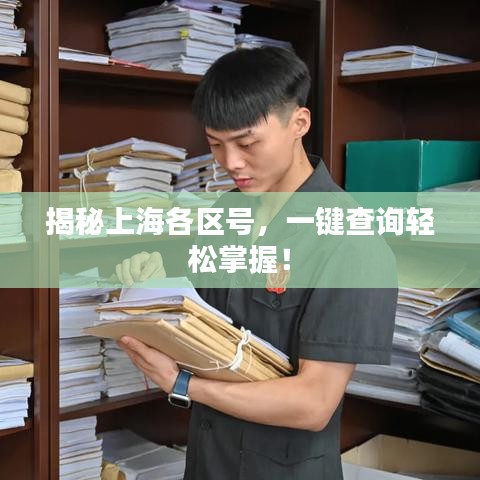 揭秘上海各区号，一键查询轻松掌握！