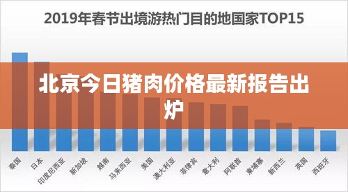 北京今日猪肉价格最新报告出炉