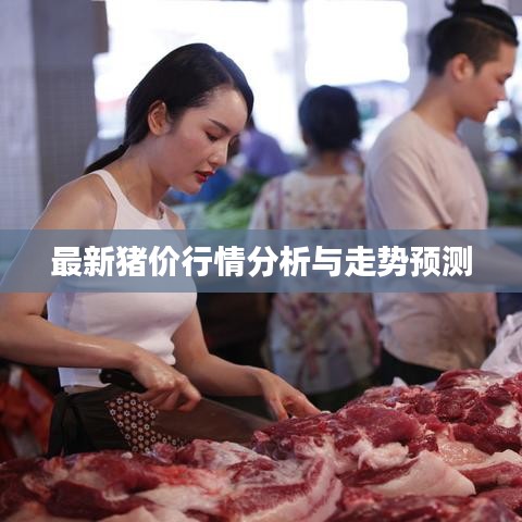 最新猪价行情分析与走势预测