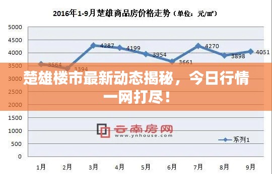 楚雄楼市最新动态揭秘，今日行情一网打尽！