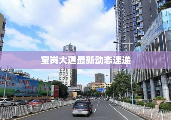 宝岗大道最新动态速递
