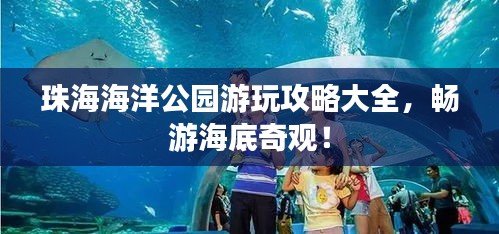 珠海海洋公园游玩攻略大全，畅游海底奇观！