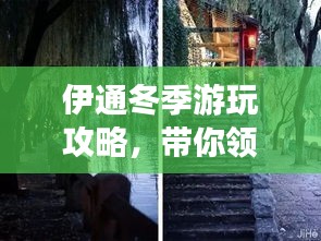 伊通冬季游玩攻略，带你领略别样风情！
