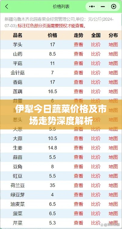 伊犁今日蔬菜价格及市场走势深度解析