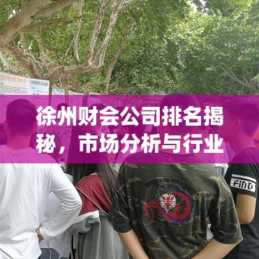 徐州财会公司排名揭秘，市场分析与行业洞察