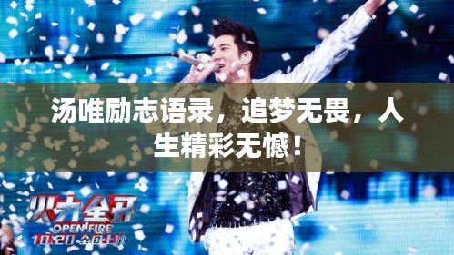 汤唯励志语录，追梦无畏，人生精彩无憾！