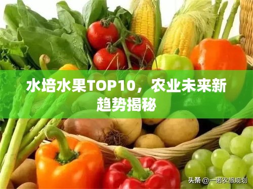 水培水果TOP10，农业未来新趋势揭秘