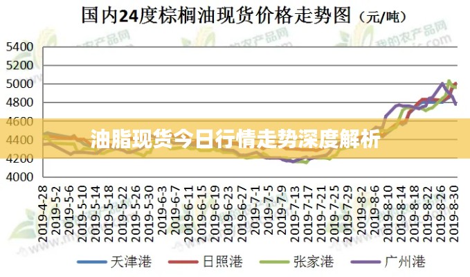 油脂现货今日行情走势深度解析