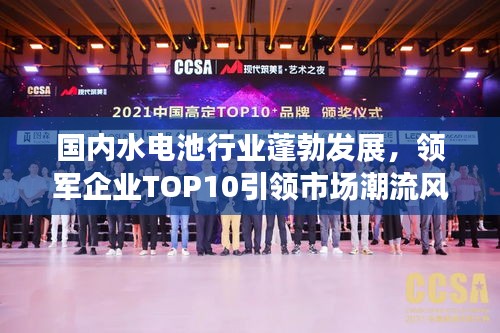 国内水电池行业蓬勃发展，领军企业TOP10引领市场潮流风向标