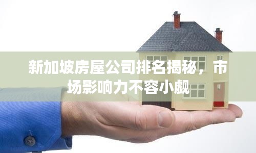 新加坡房屋公司排名揭秘，市场影响力不容小觑