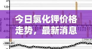 今日氯化钾价格走势，最新消息与动态分析