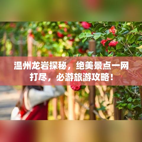温州龙岩探秘，绝美景点一网打尽，必游旅游攻略！